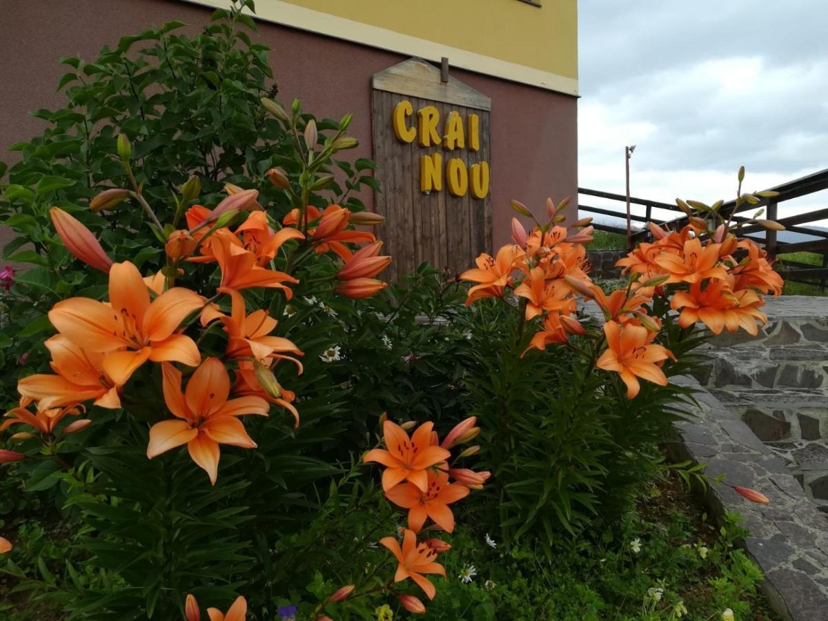 Pensiunea Crai Nou Sirnea Kültér fotó