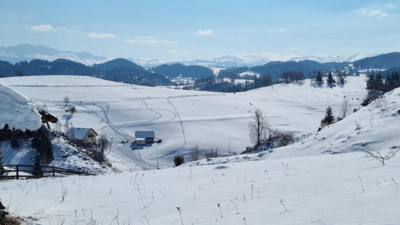 Pensiunea Crai Nou Sirnea Kültér fotó