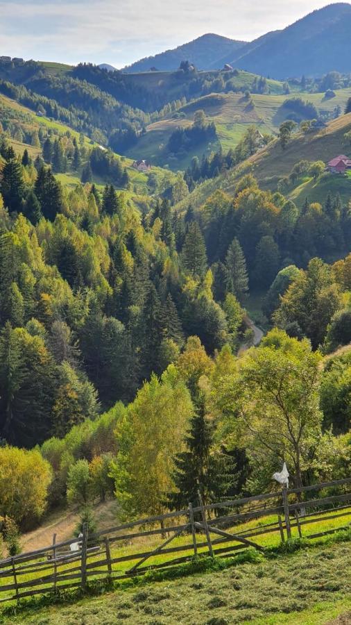 Pensiunea Crai Nou Sirnea Kültér fotó