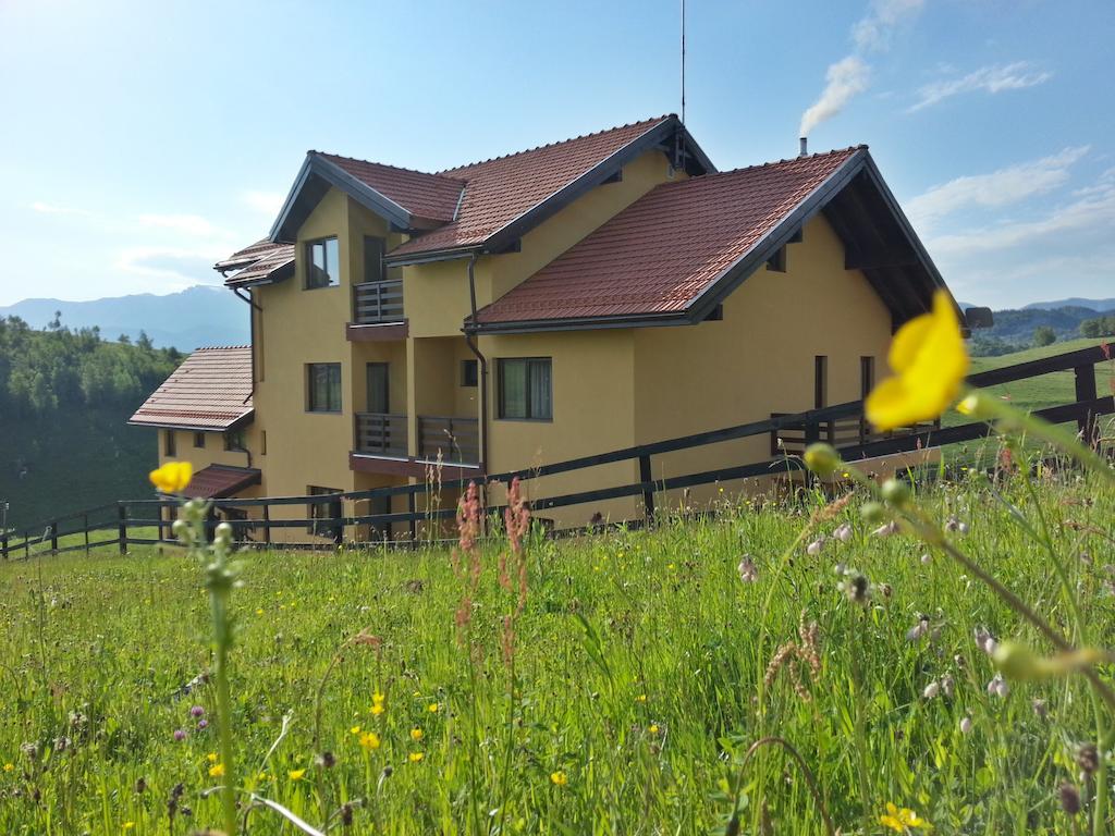 Pensiunea Crai Nou Sirnea Kültér fotó